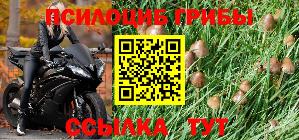 Галлюциногенные грибы Magic Shrooms  Вход с VPN  закладки  Кропоткин 